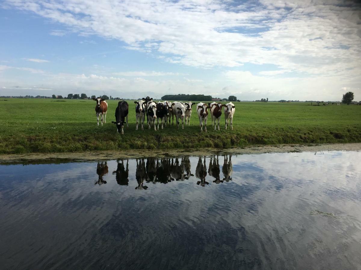 Vakantiehuis Het Voorhuis Op Landgoed Koepeltjesplaats Gaast Extérieur photo