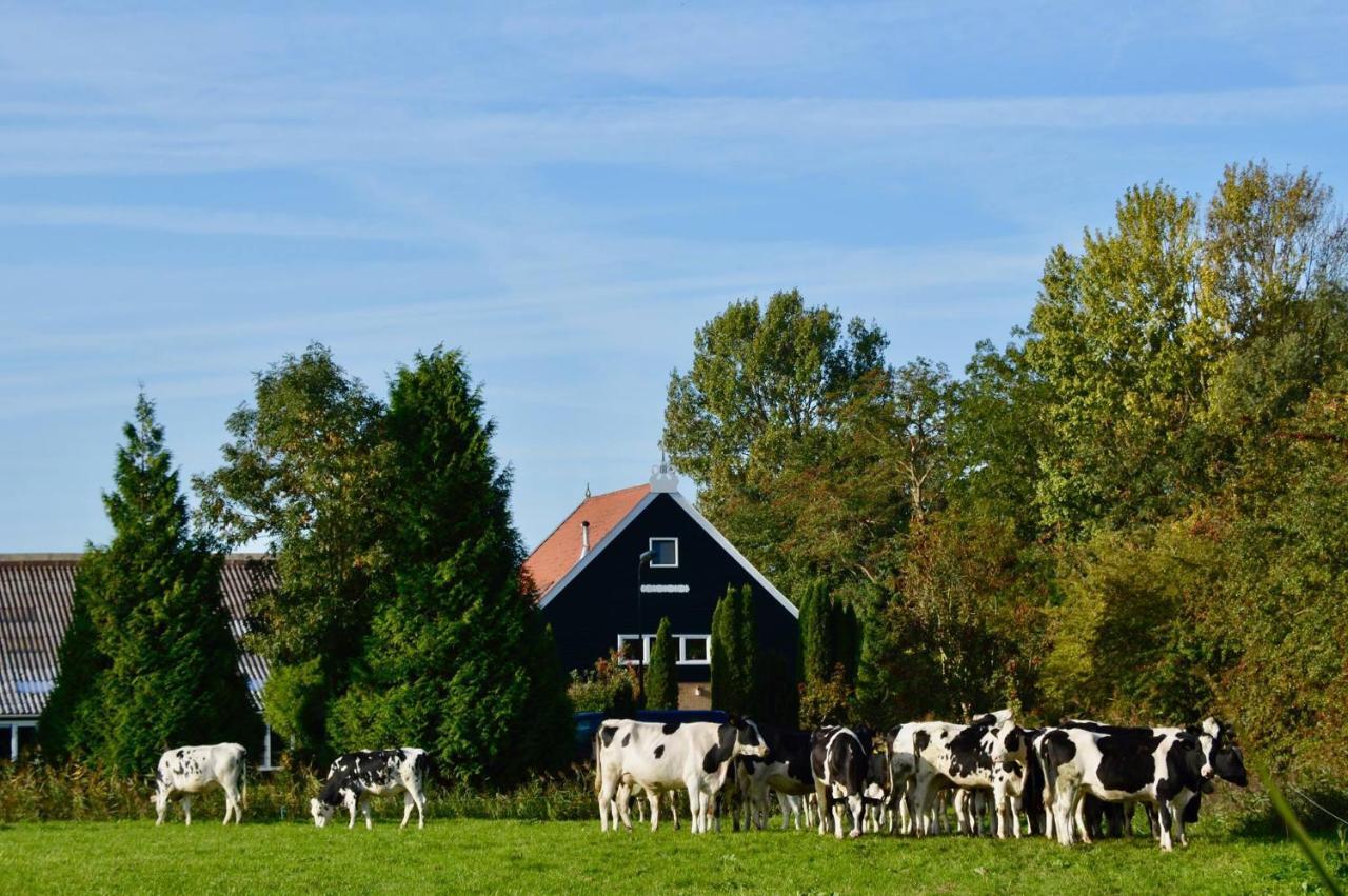 Vakantiehuis Het Voorhuis Op Landgoed Koepeltjesplaats Gaast Extérieur photo