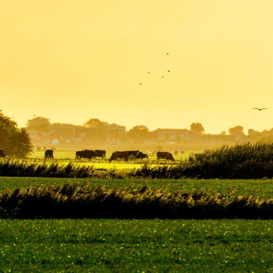 Vakantiehuis Het Voorhuis Op Landgoed Koepeltjesplaats Gaast Extérieur photo