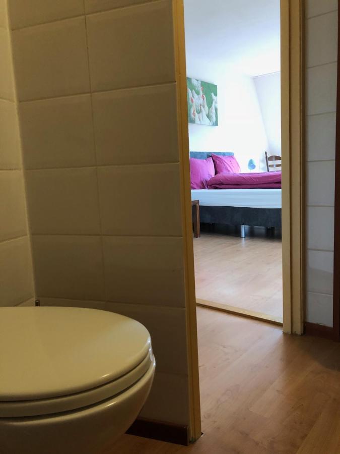 Vakantiehuis Het Voorhuis Op Landgoed Koepeltjesplaats Gaast Extérieur photo