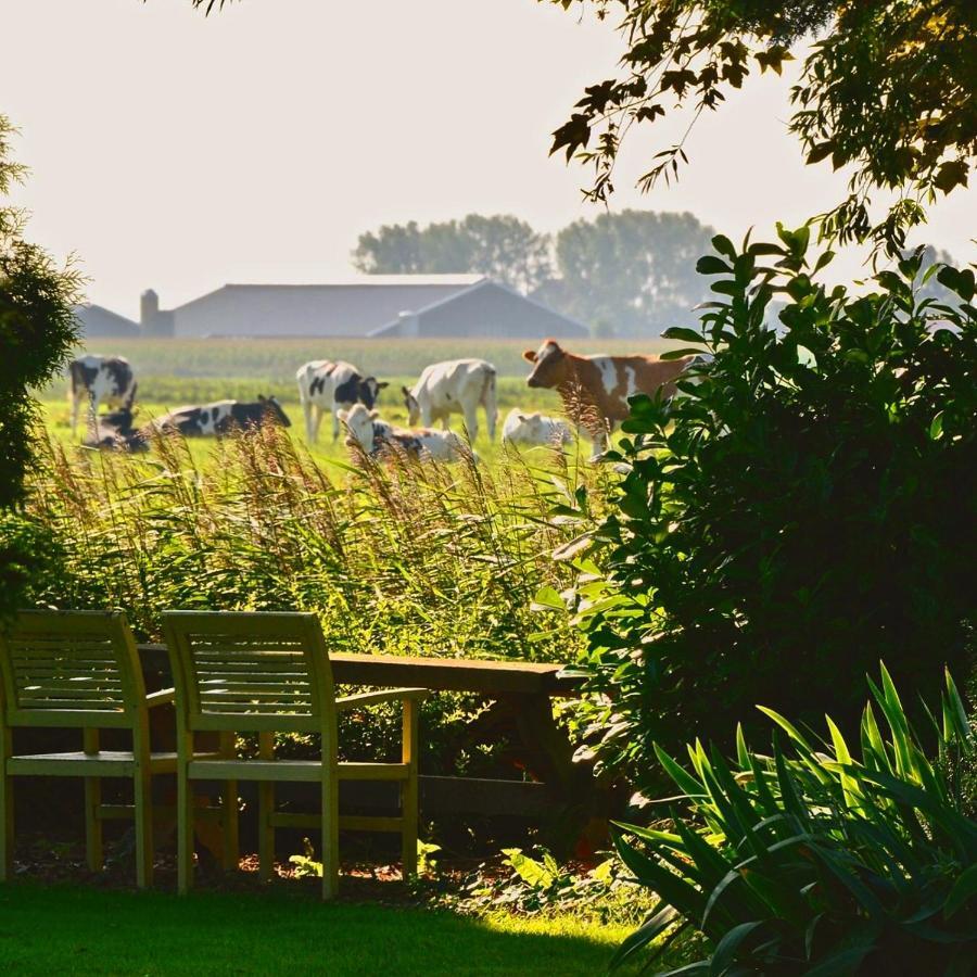 Vakantiehuis Het Voorhuis Op Landgoed Koepeltjesplaats Gaast Extérieur photo